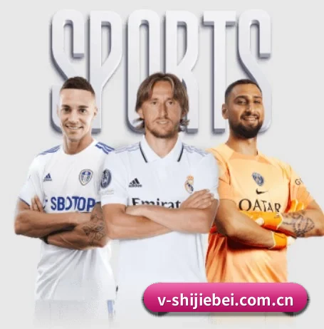 世界杯 APP 界面